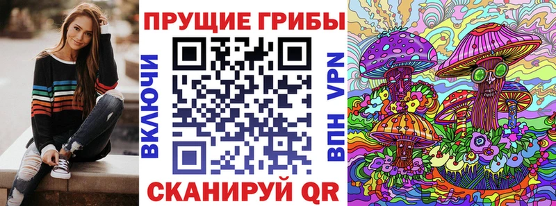 где купить наркоту  Чегем  Галлюциногенные грибы Magic Shrooms 